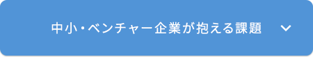⼤⼿・中⼩企業・スタートアップ。それぞれの事業規模での課題にあわせたサービスを提供